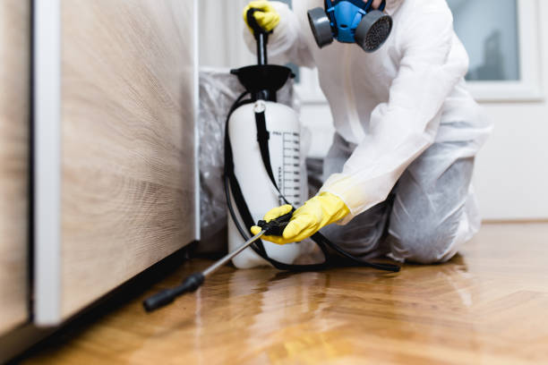 Upper Greenwood Lake, NJ Pest Control Company