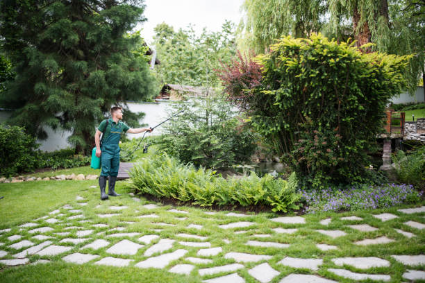 Best Cockroach Control Services  in Upper Greenwood Lake, NJ