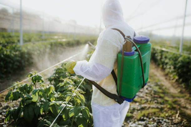 Best Exterminator Services  in Upper Greenwood Lake, NJ